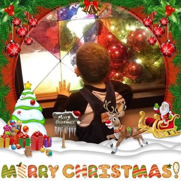 Meet your Posher, Robin - Picture 1 of 1